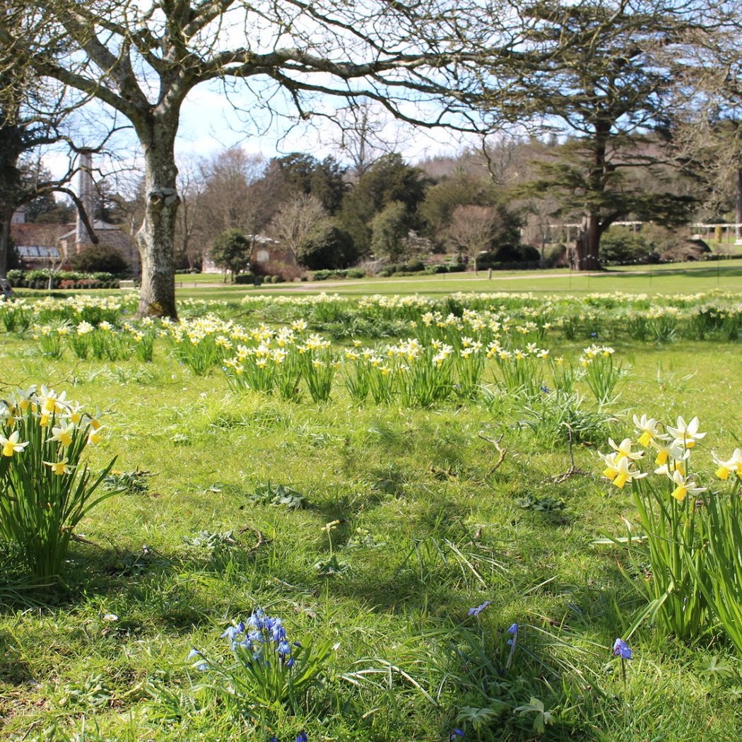 West Dean Gardens 2