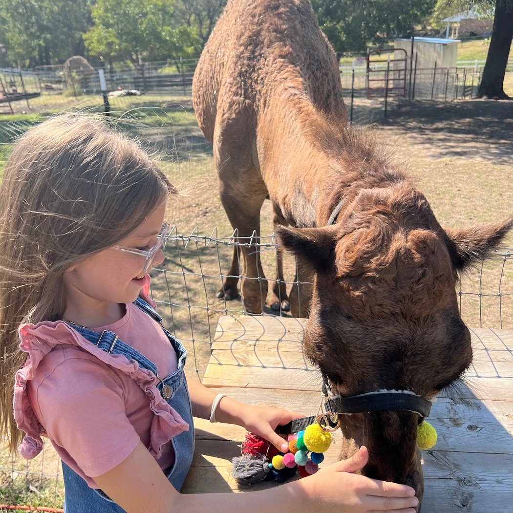 Huddinfarm Pumpkin Patch & Petting Zoo 1
