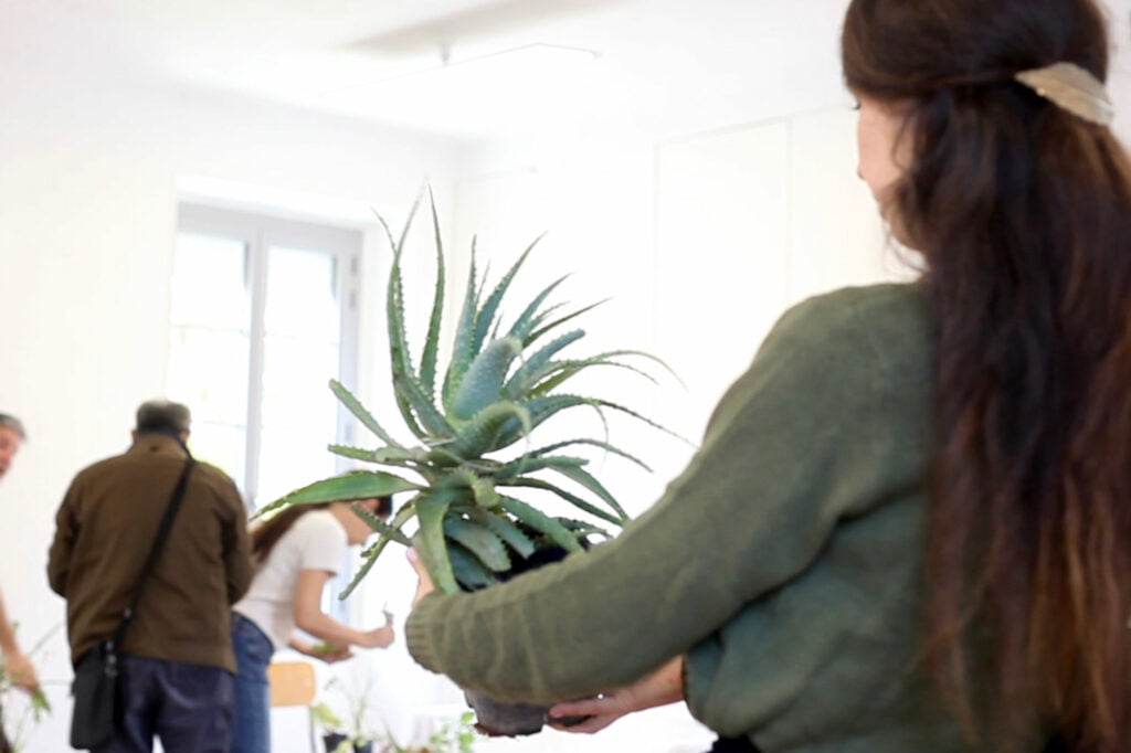 Échange de plantes 1