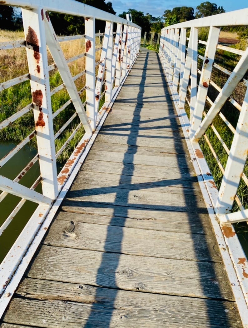 Pinole Creek 3