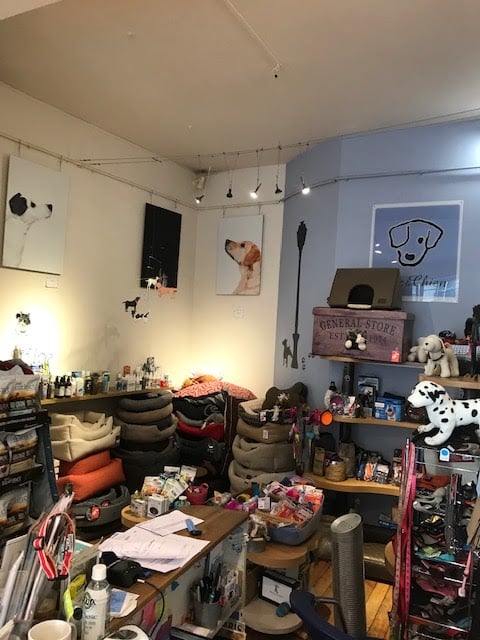 At the Dog 3