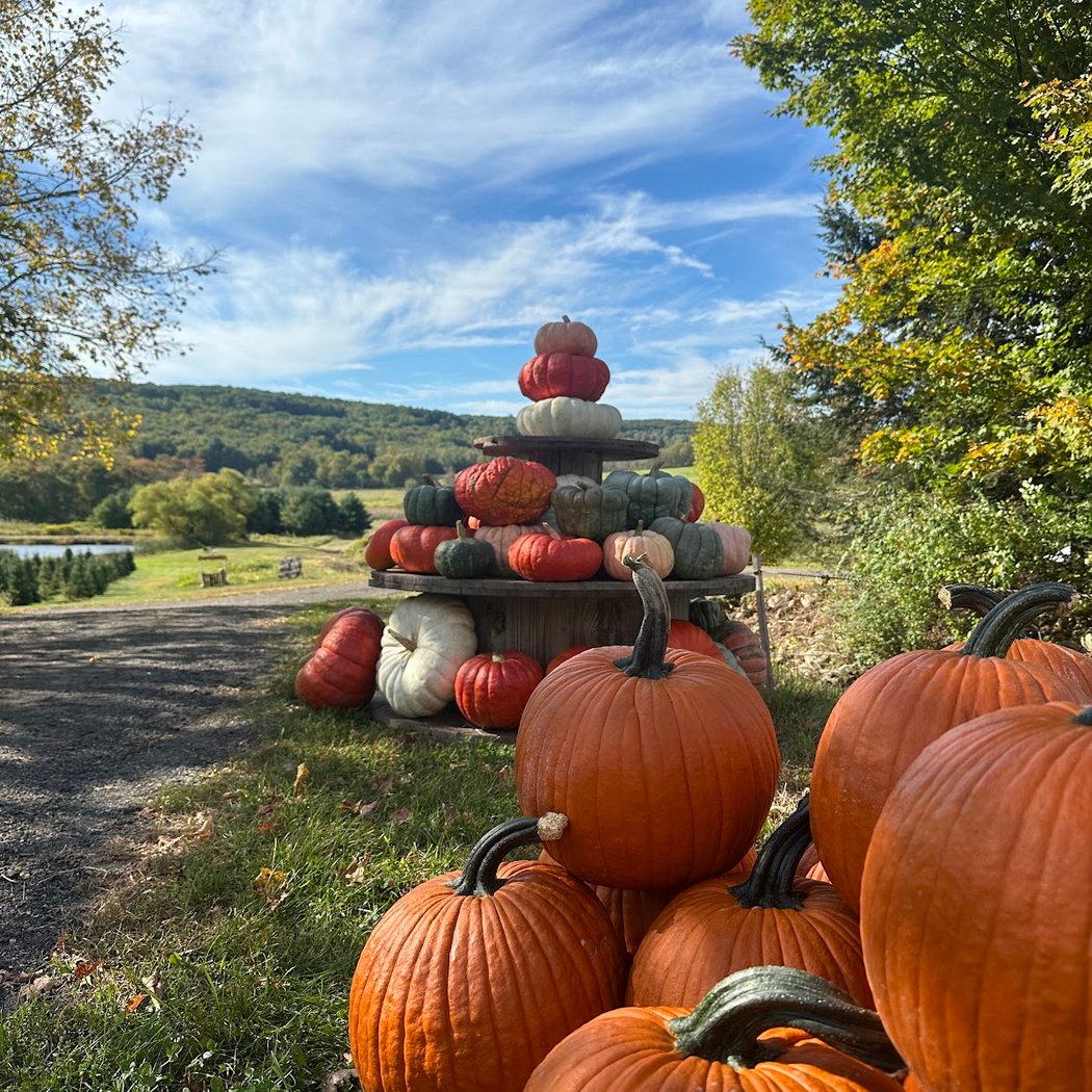 Angevine Farm - Pumpkin Patch & Harvest Barn 2