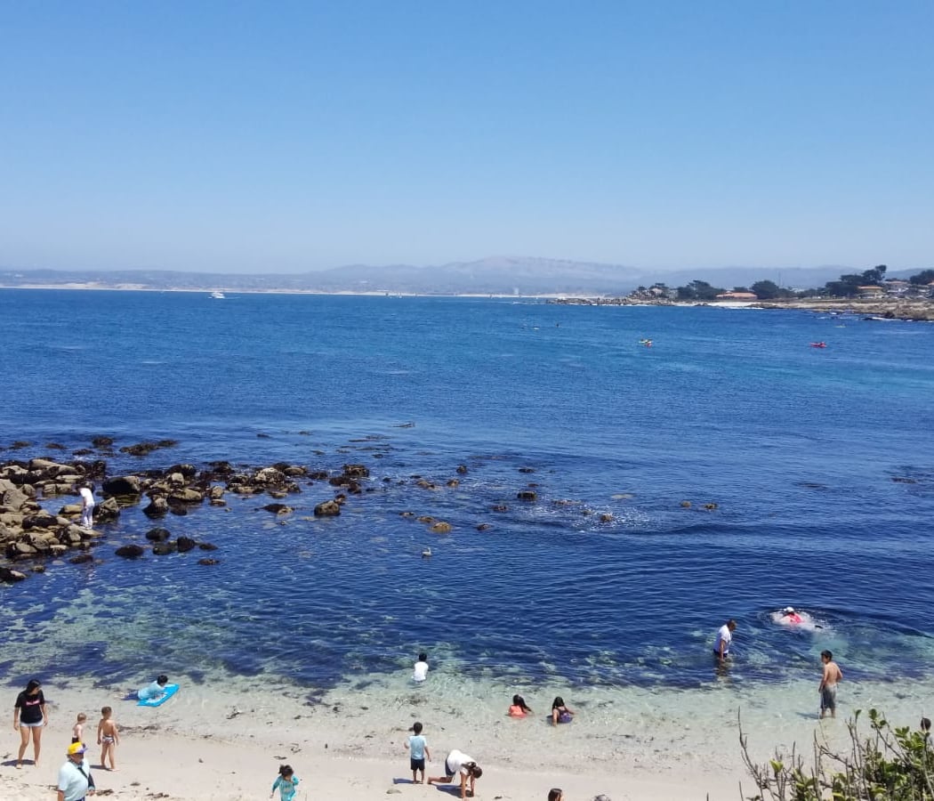 Pacific Grove 3
