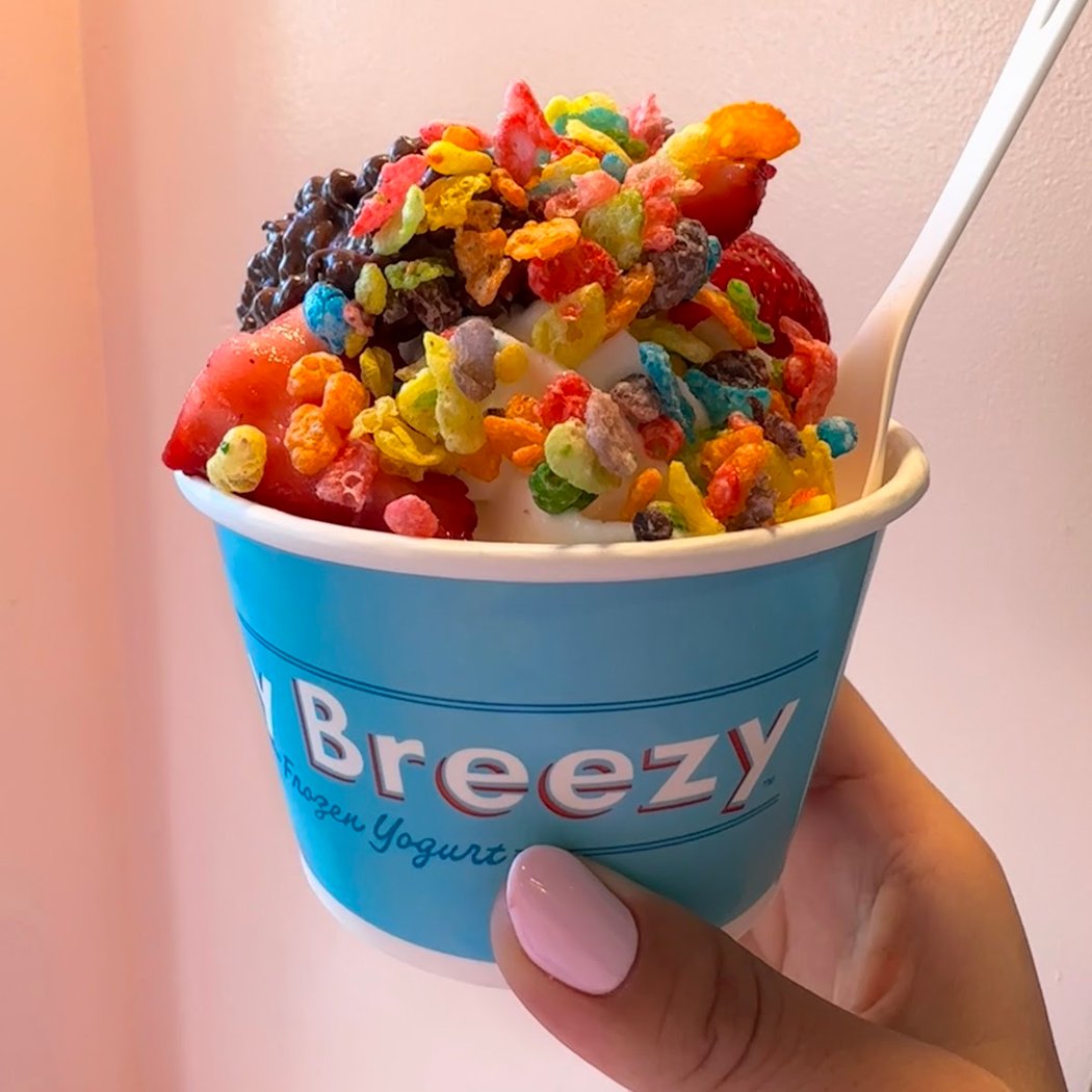 Easy Breezy Frozen Yogurt Los Gatos 1
