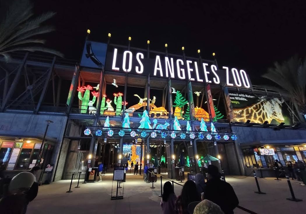 Zoo After Dark: Line Dancing Night 2