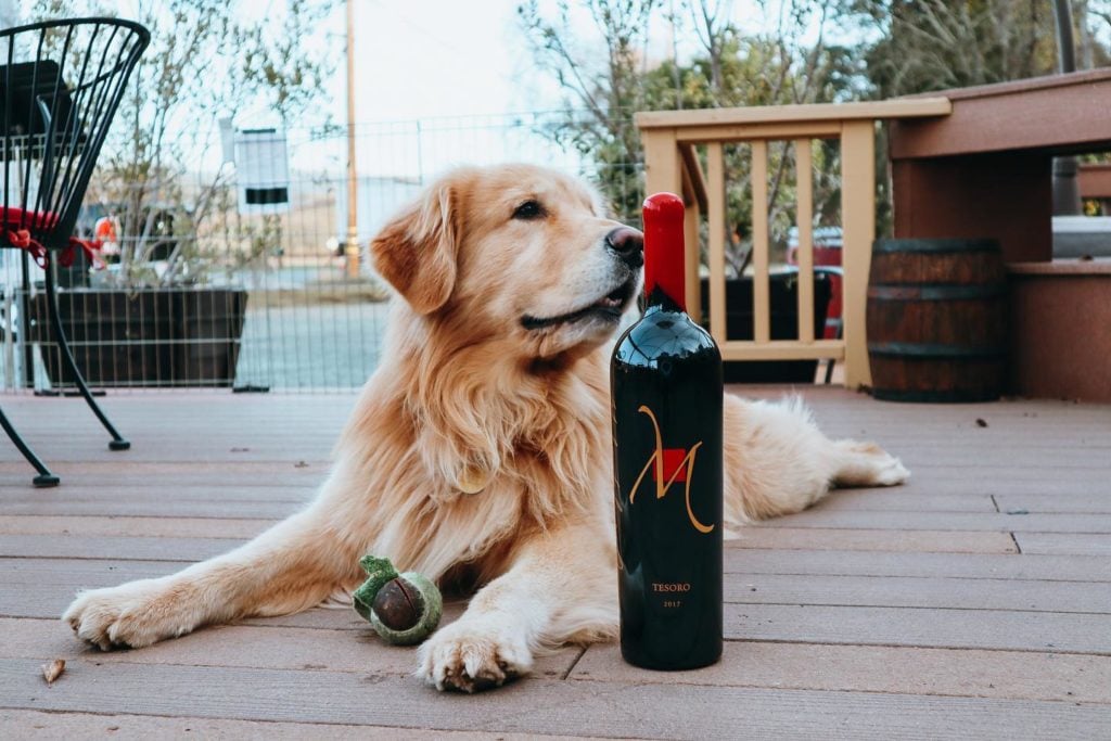 Muscardini Cellars 1