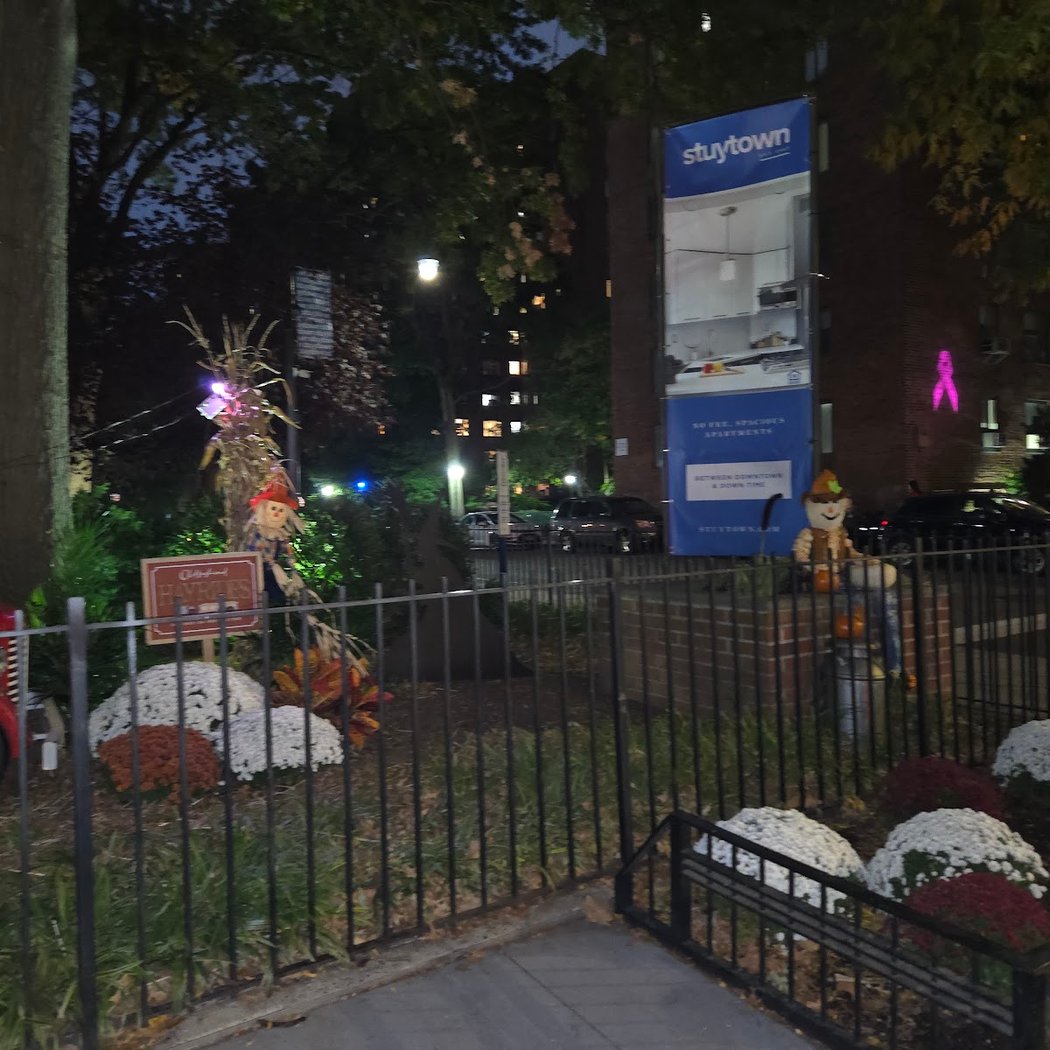 Stuyvesant Town 3