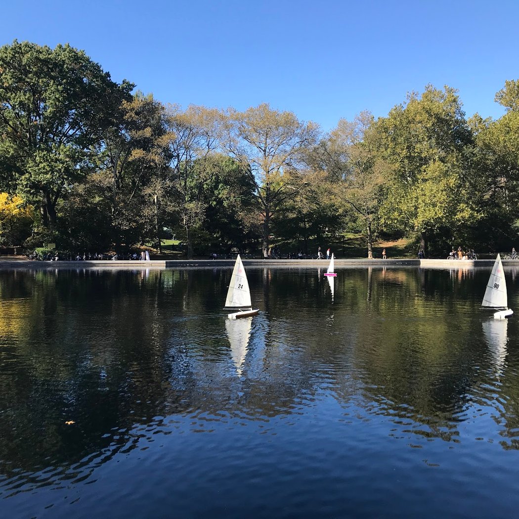 Sail Central Park- Model Boat Sailing 3