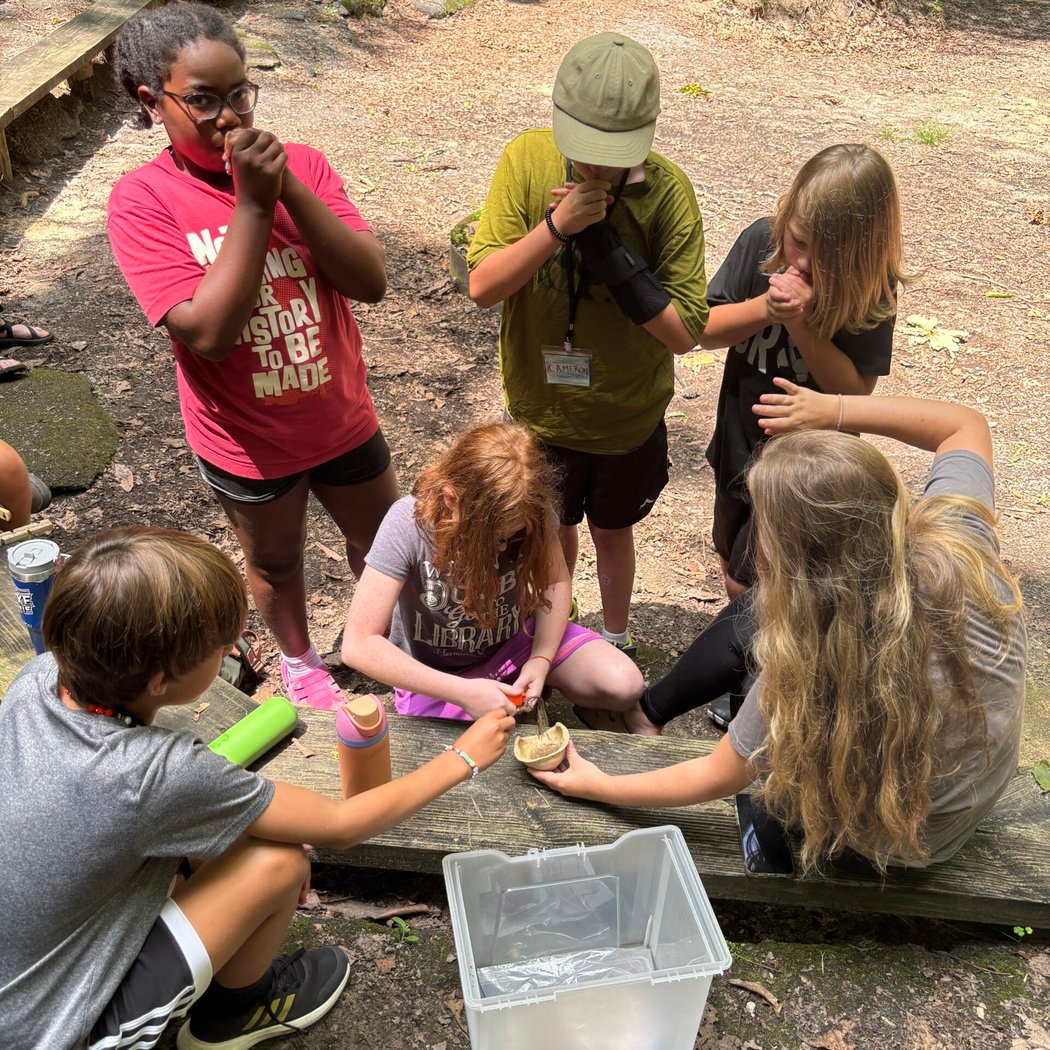Young Explorers: Mystery on the Mountain 1