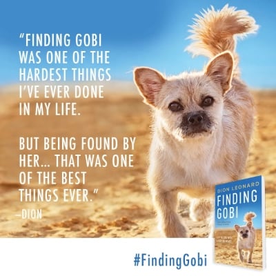 Meet Author Dion Leonard And His Dog, Gobi 1