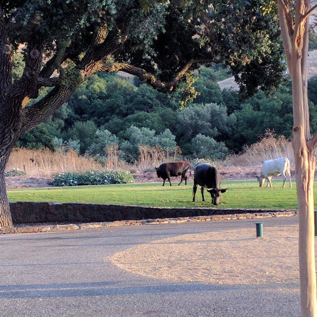 Silver Creek Meadows Picnic Area 3