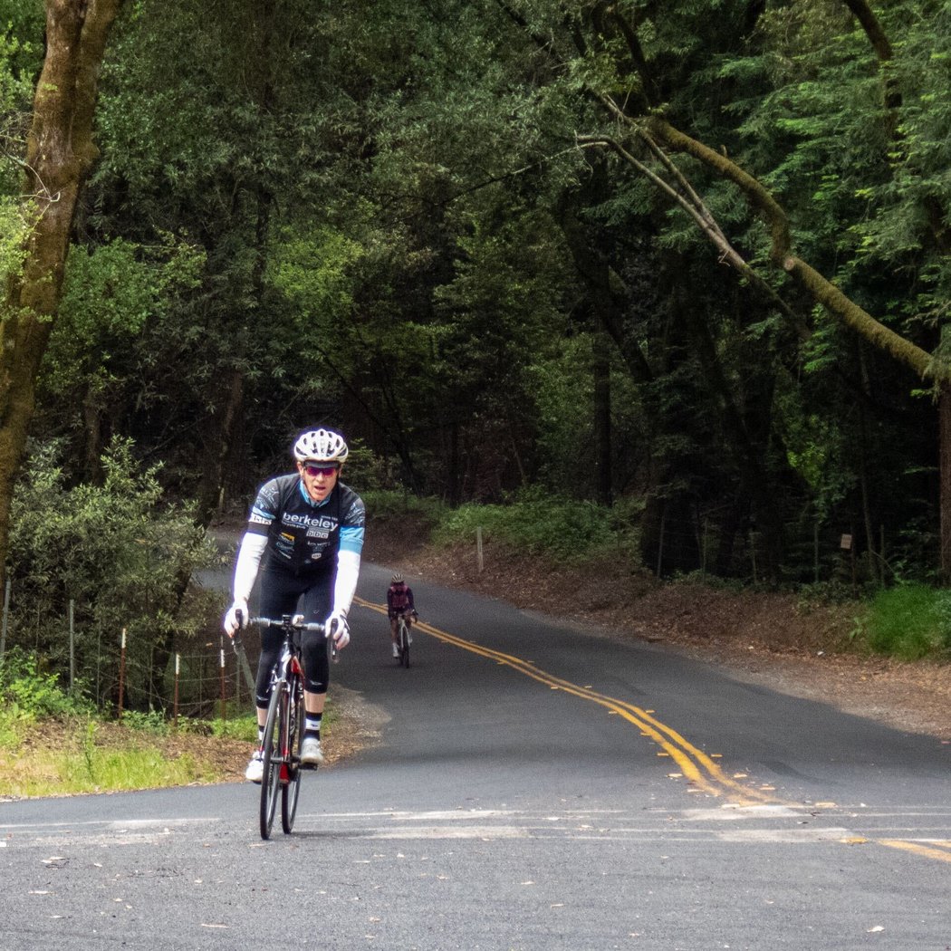 Wednesday Redwood Loop 3