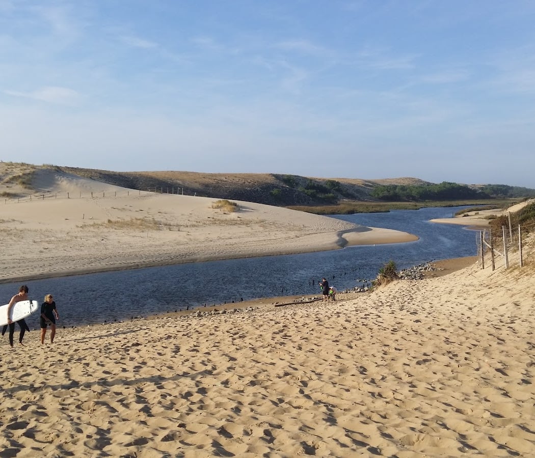 Natural Reserve of the Courant d'Huchet 3