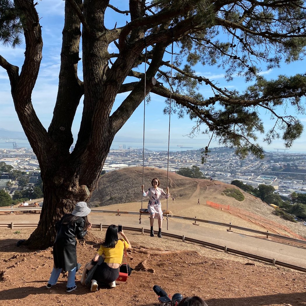Tree Swing 2