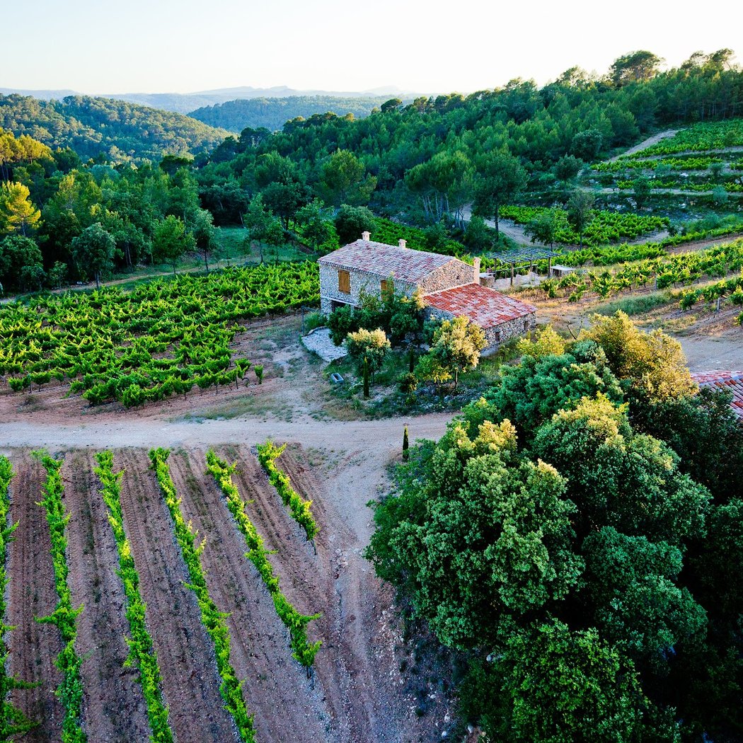 Domaine du Clos de Caille 3