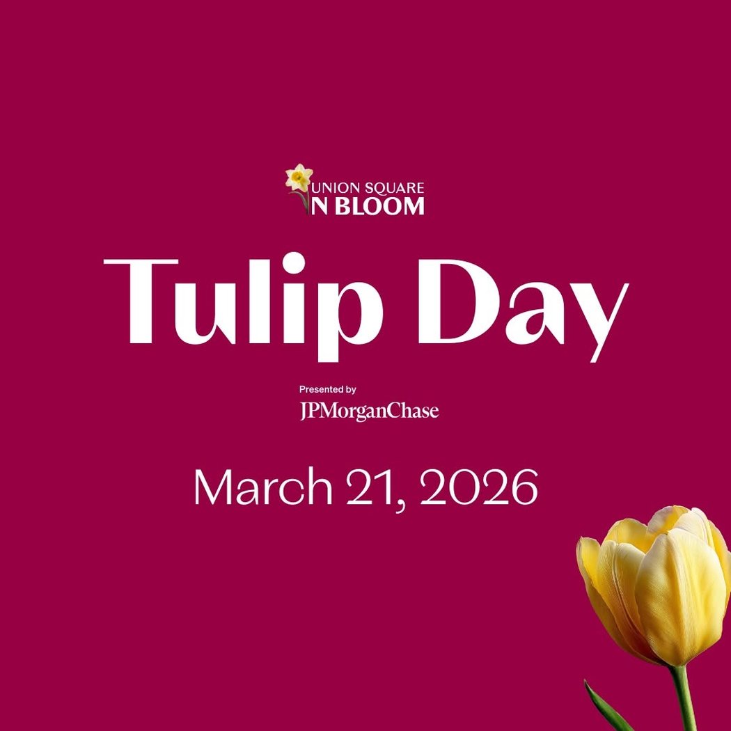 Tulip Field 1