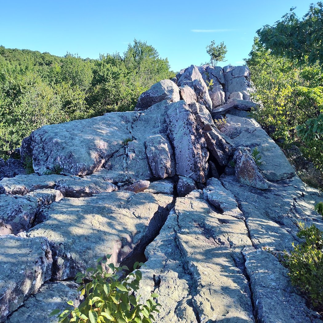 Cat Rocks 1