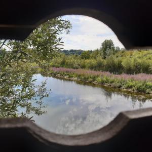 Parc départemental de la Haute-Ile 2