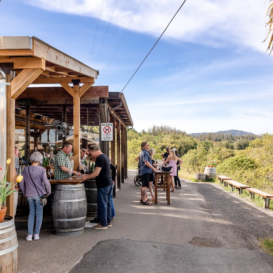 Iron Horse Vineyards 3