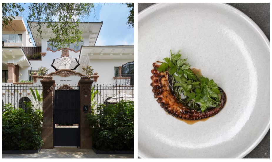 Eat Mexico Culinary Tours 1