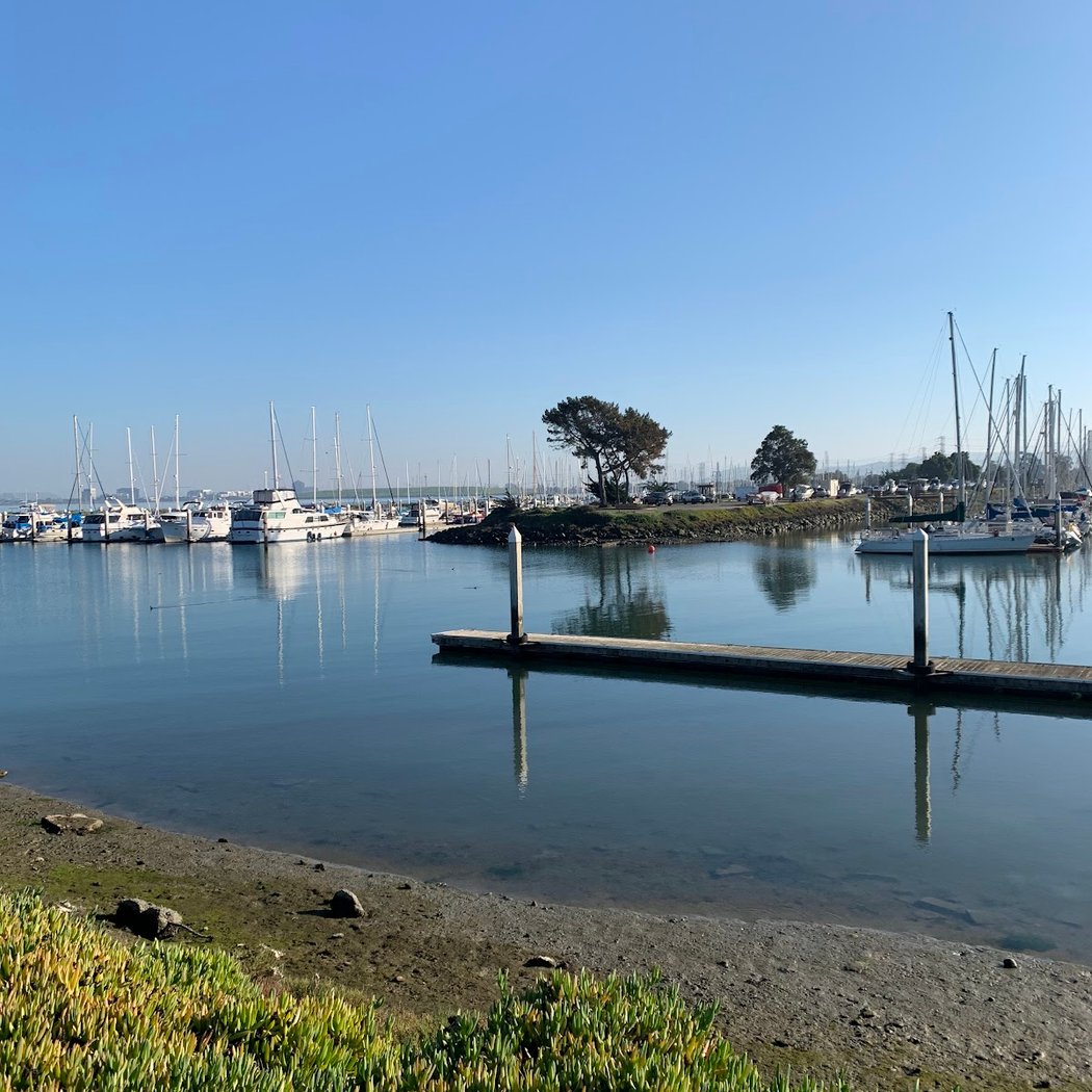 CuriOdyssey at Coyote Point 2