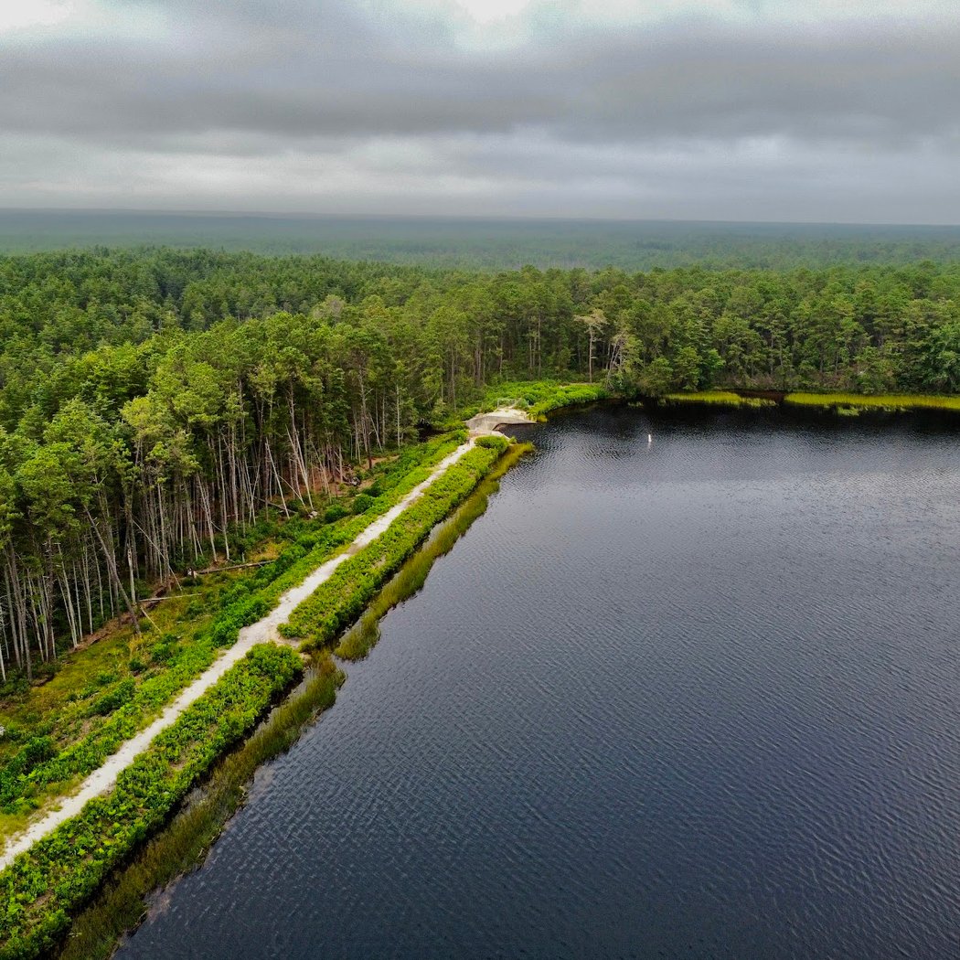 The Pine Barrens 1