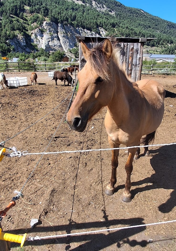 Bramans Equitation 2