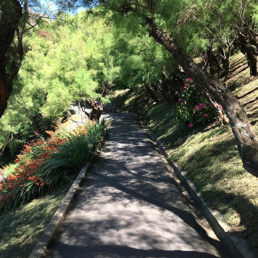Jardin Public 2