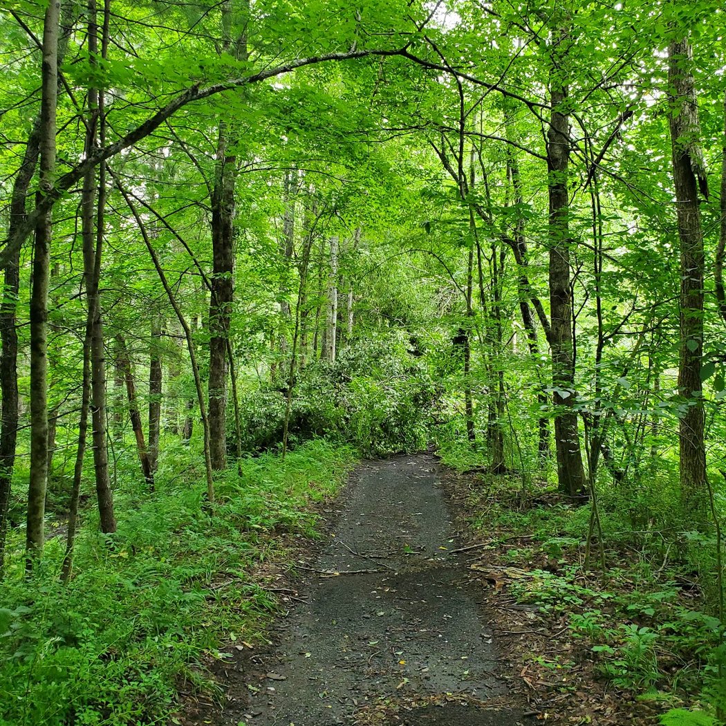 Corkscrew Rail Trail 1