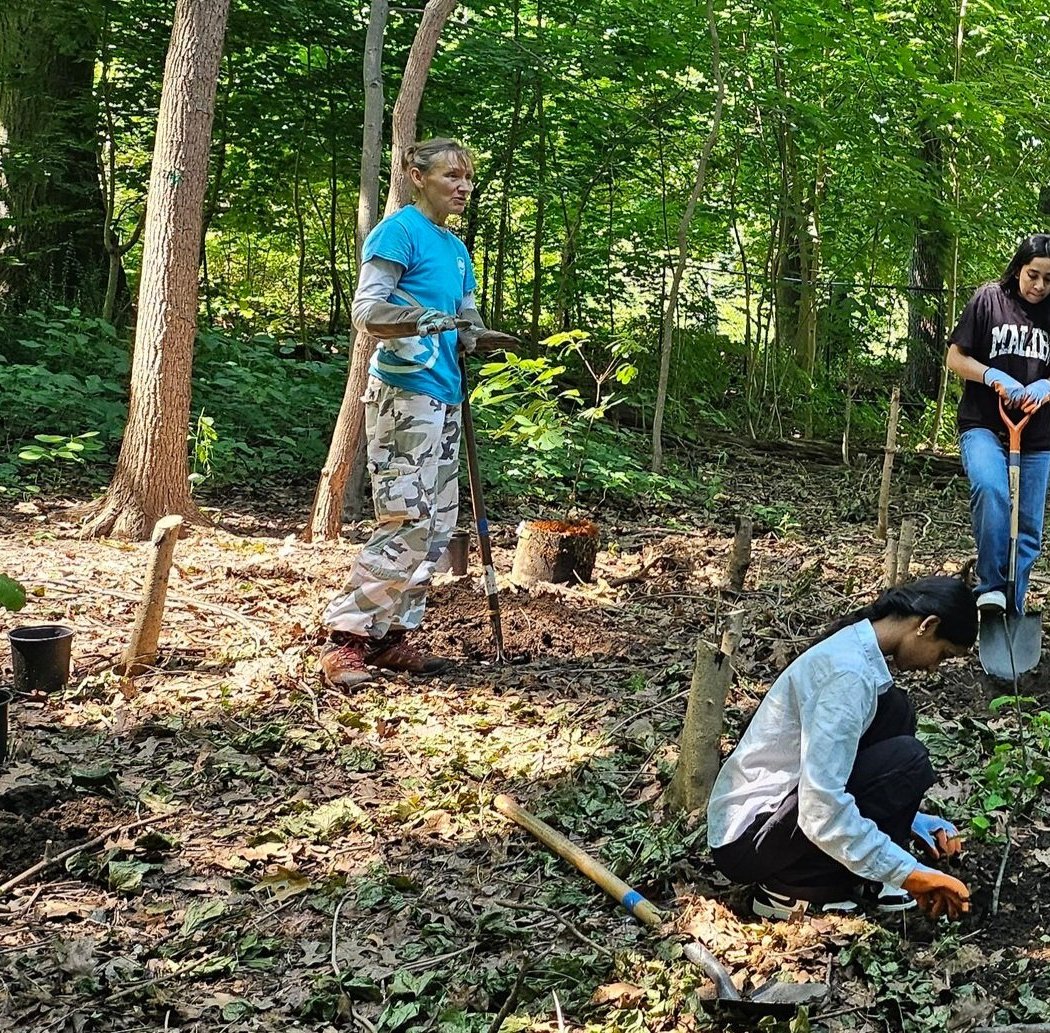 Forest Park Arbor Day Planting 1