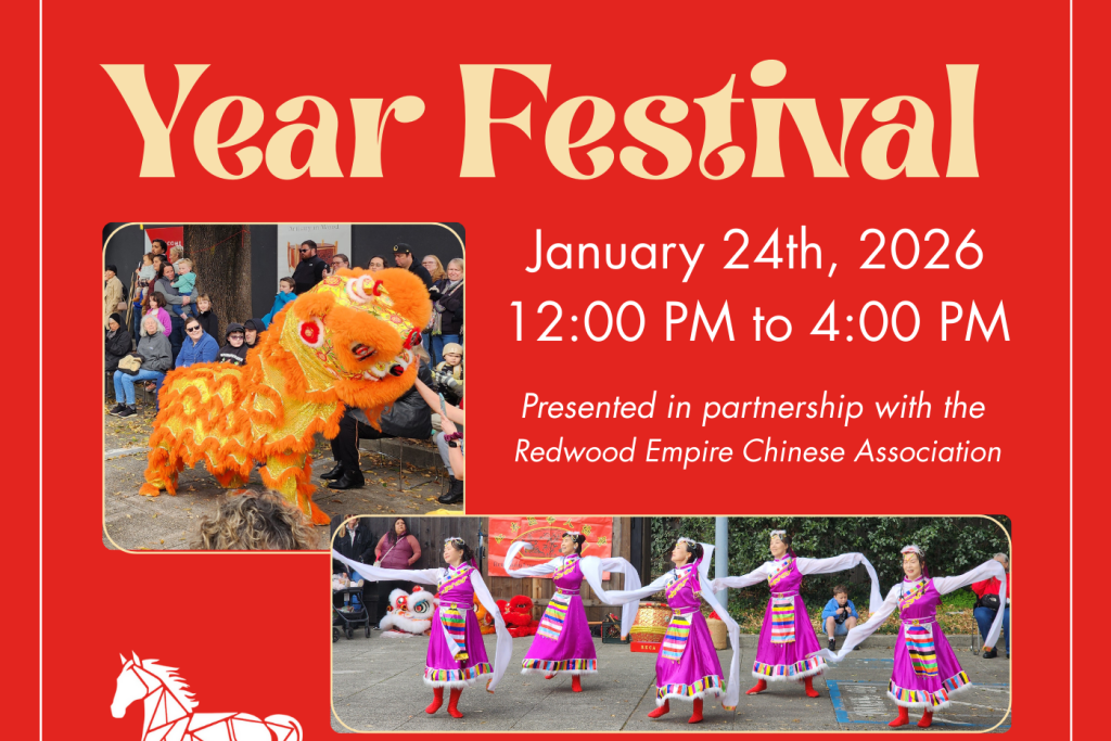 Lunar New Year Festival 1