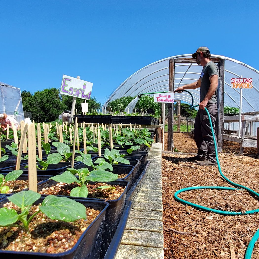 Petaluma Bounty Farm 3