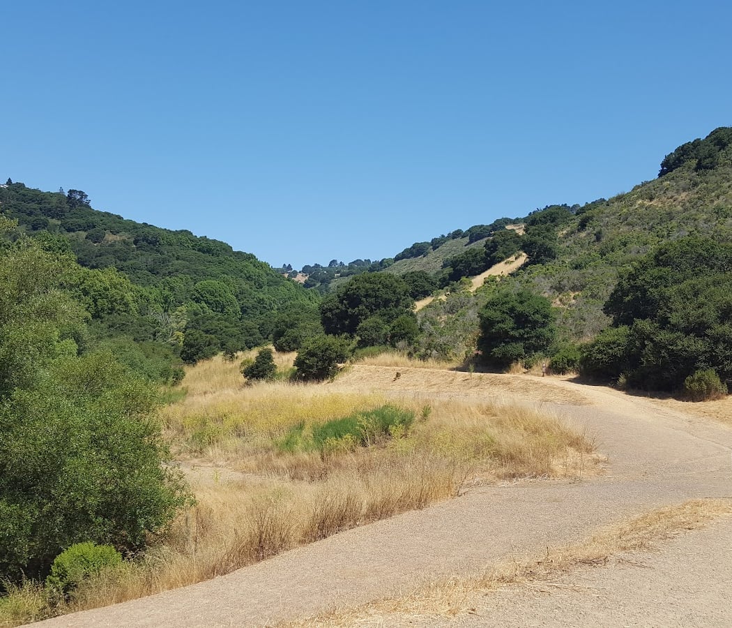 Junior Ranger Hikes 3
