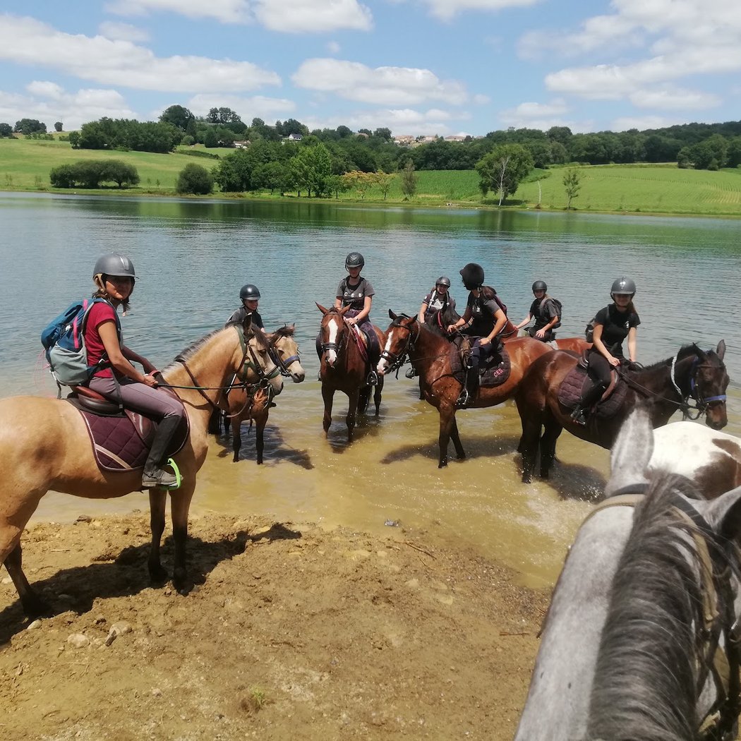 Ceb Lons Equestrian Center Du Basacle 3
