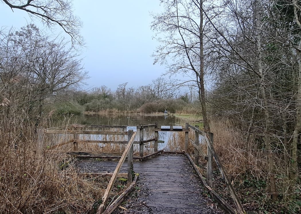 Marais de Cambrin 2