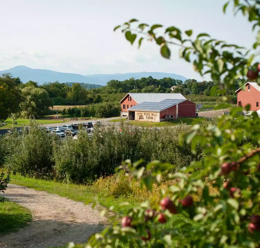 Rose Hill Winery & Cidery 2