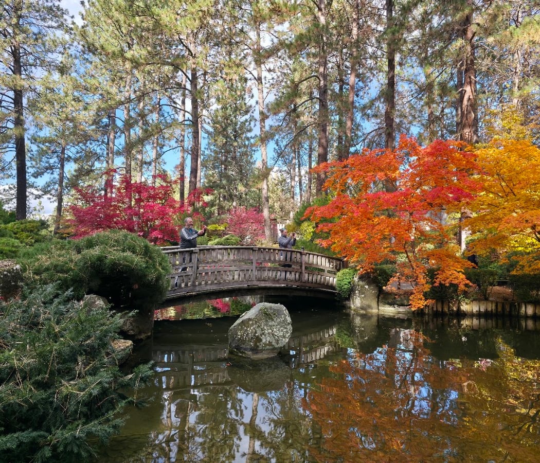Manito Park 1