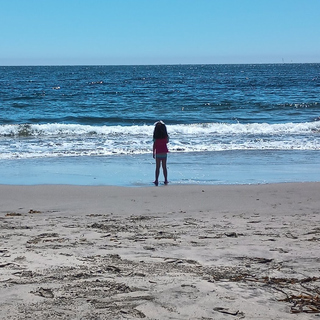 Pleasure Point 3