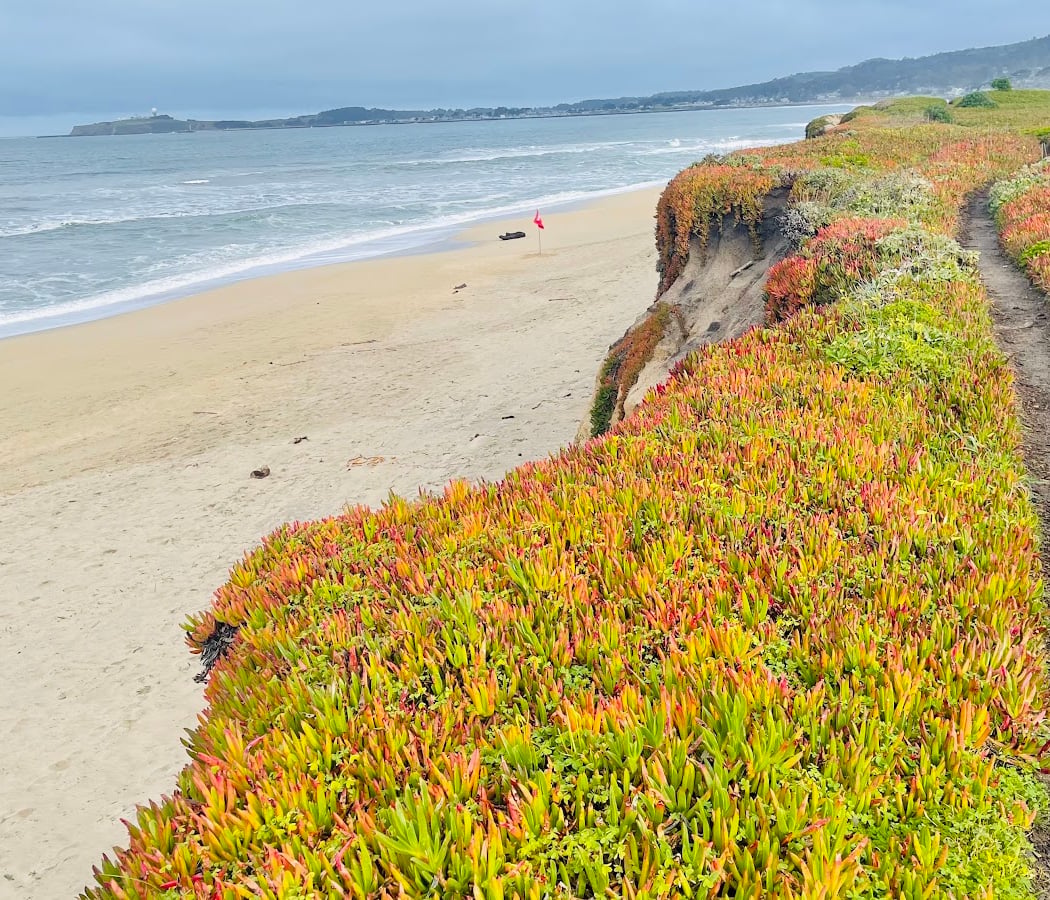 Dunes Beach - Half Moon Bay State Beach 1