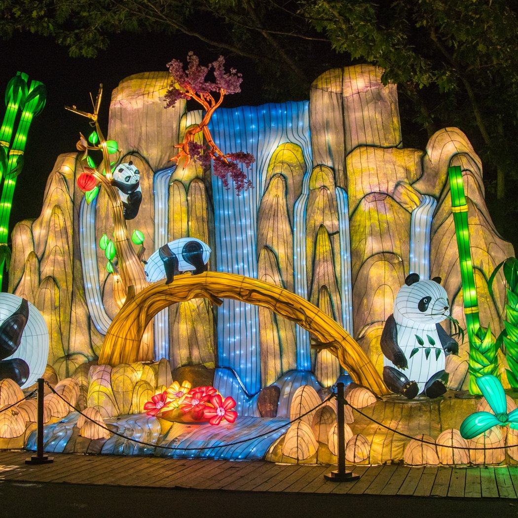 Boston Lights: A Lantern Experience 1