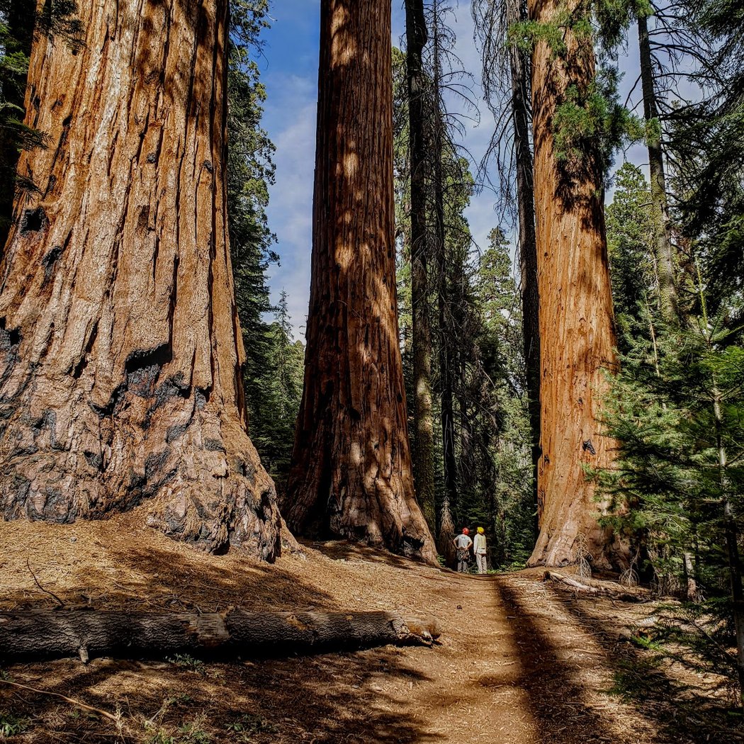 Kings Canyon National Park 2