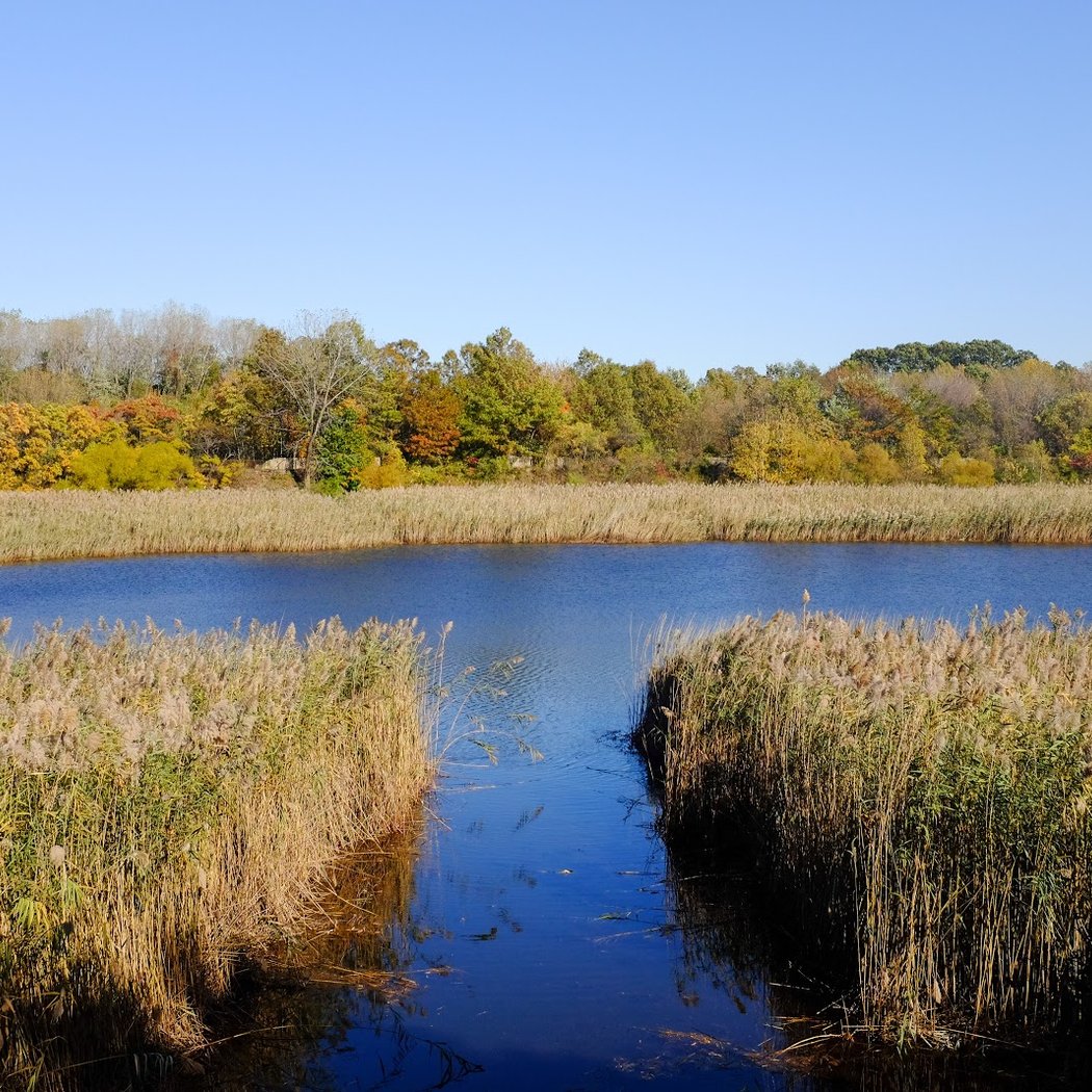 Bat Walk at the Ridgewood Reservoir 3