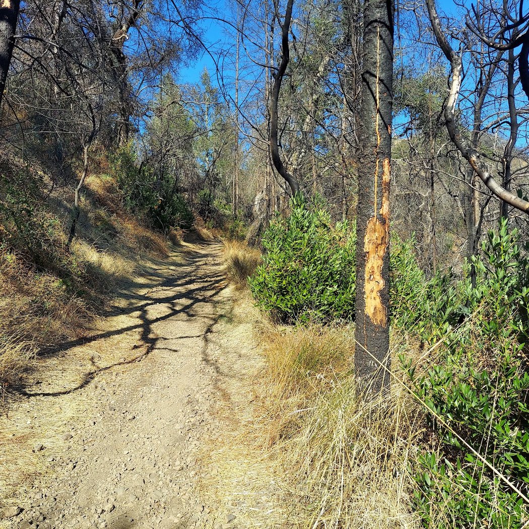 Oat Hill Mine Trailhead 3