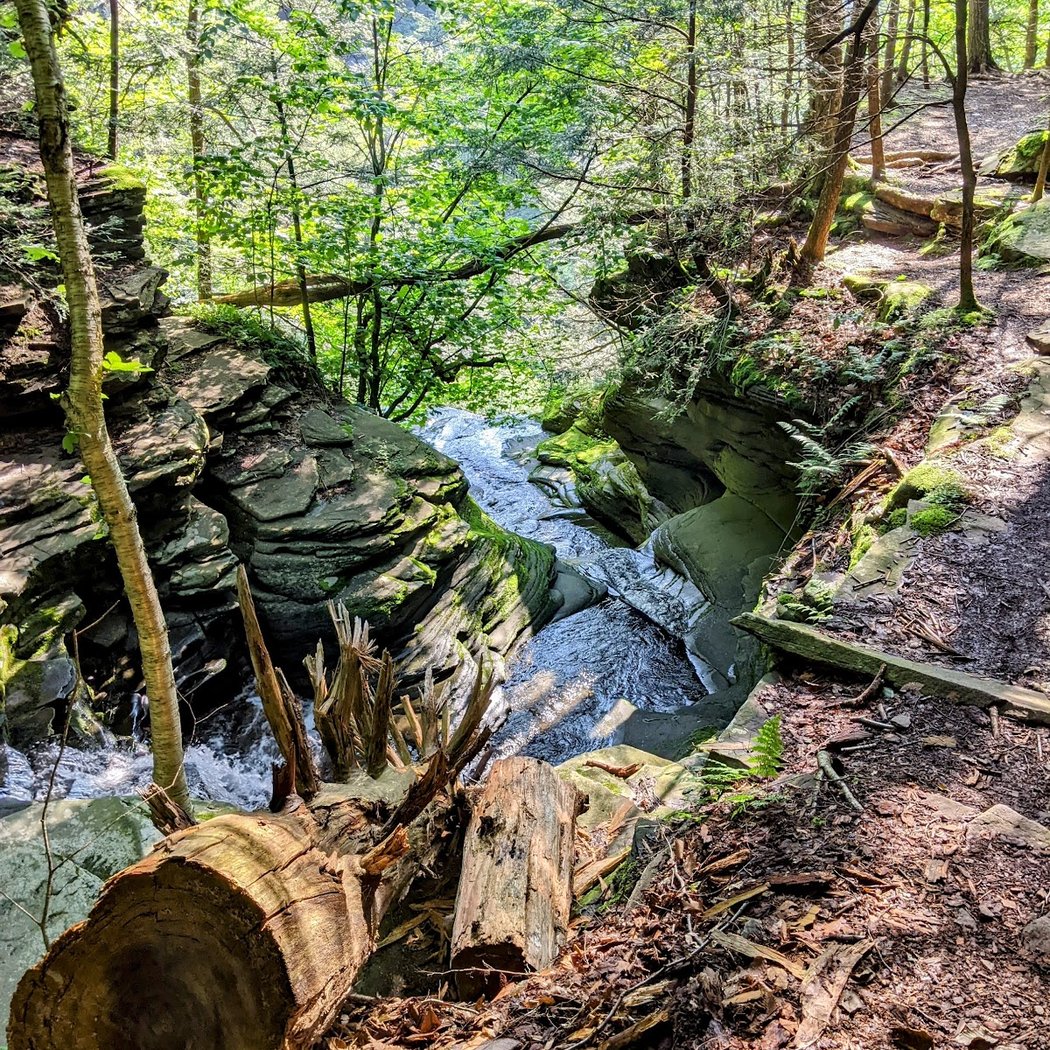Plattekill Falls 3