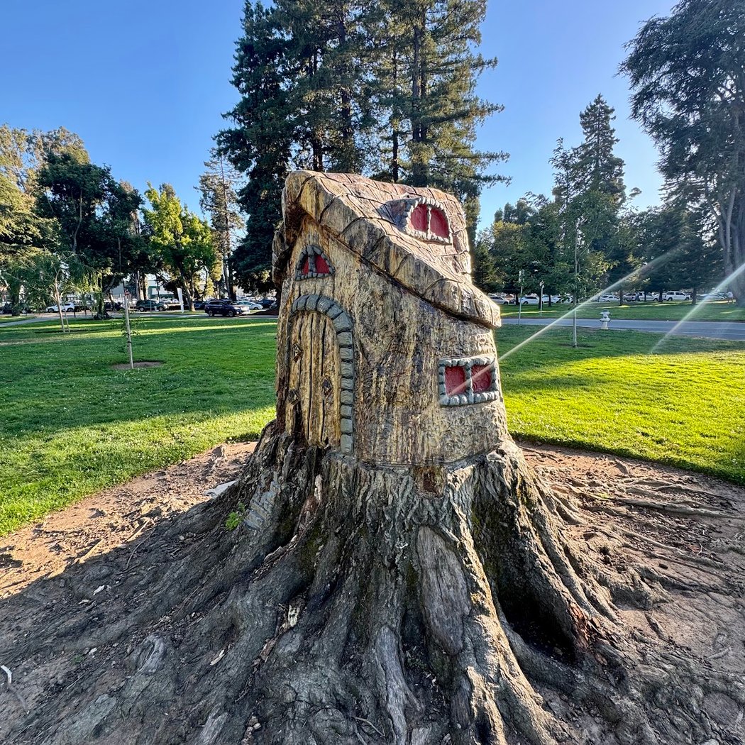 Washington Park 1
