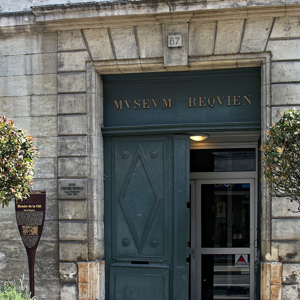 Musée Requien 2