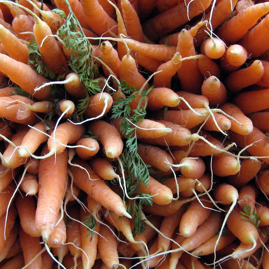 Bartel-Pritchard Square Greenmarket 2