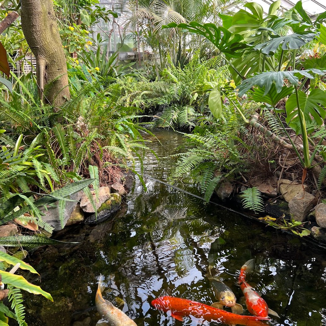 Connecticut's Beardsley Zoo 3