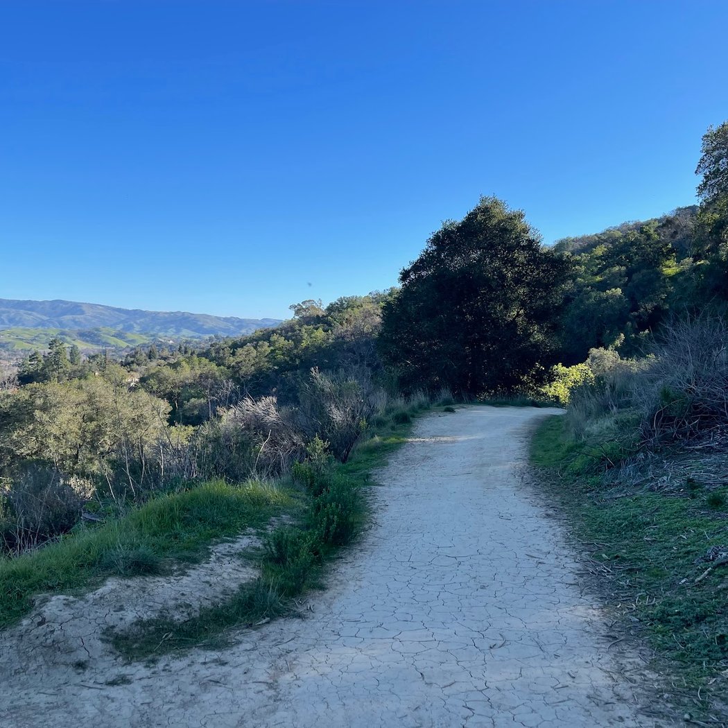 Courdet Trail 3