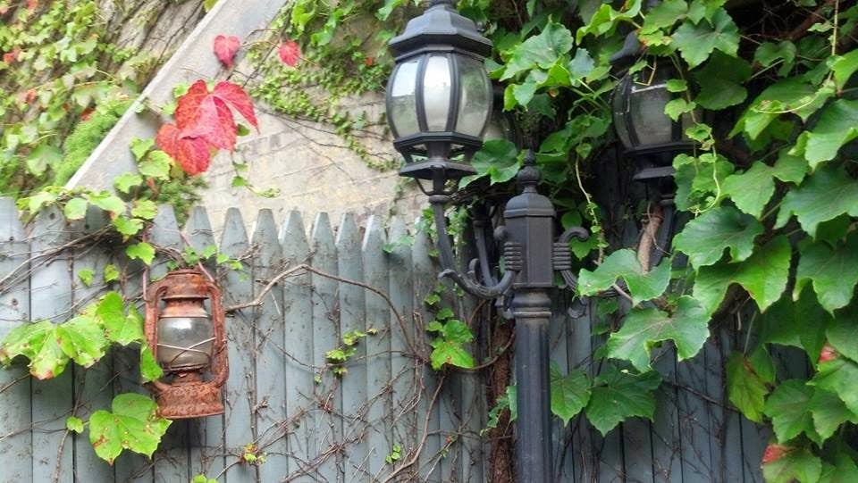 Flynn's Garden Inn 3